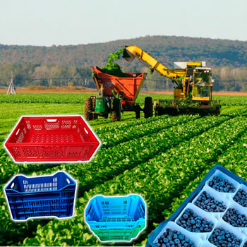 Agroindustrial